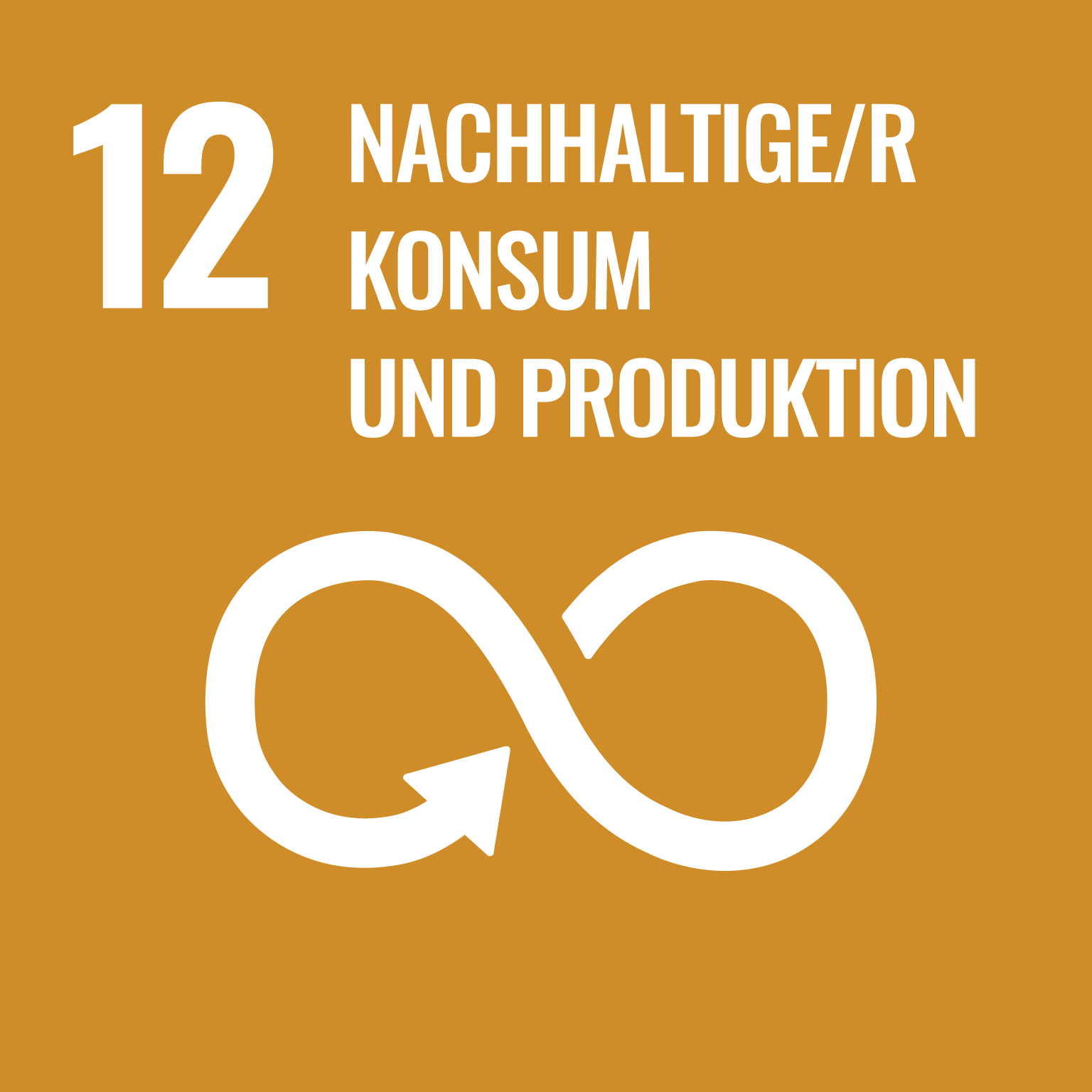 social development goal 12: nachhaltiger Konsum und Produktion