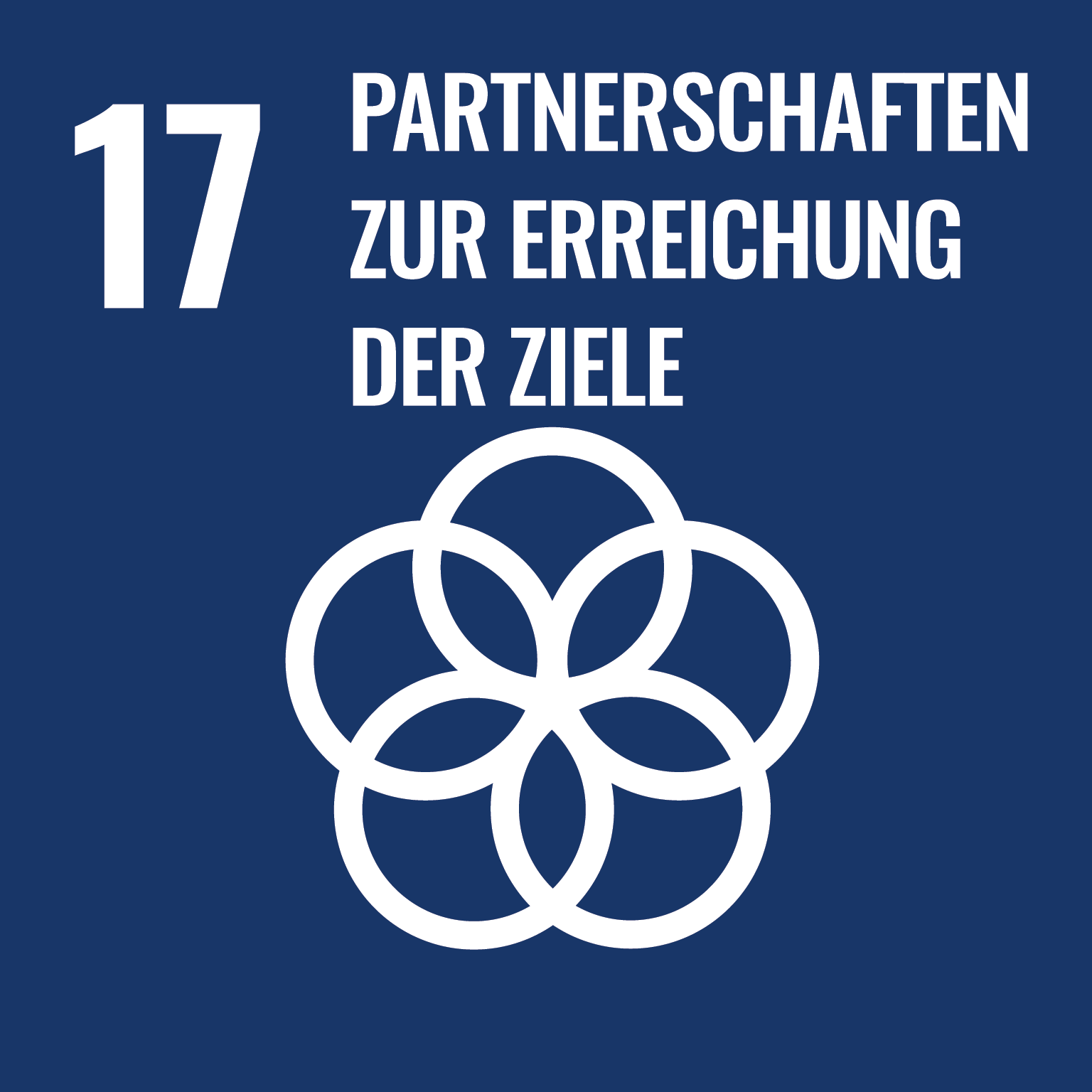 social development goal 17: Partnerschaften zur Erreichung der Ziele