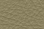 Stoffmuster Sanitech M2002 Medal Beige