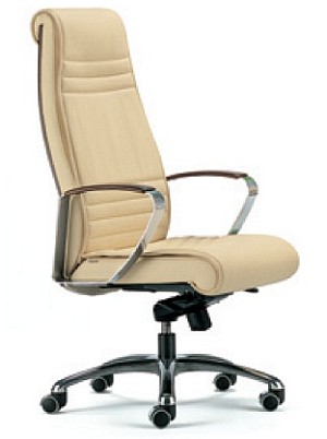 ergonomischer Chefsessel  Modus 1Bild 