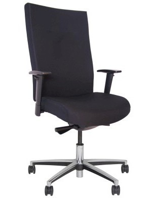 ergonomischer Bürostuhl Sanitech XL